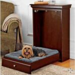 Cama plegable para tu perro