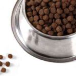 croquetaaltaenergia2