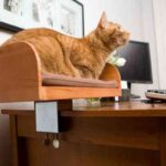 hr.kitinboxcatperch5