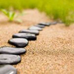 la rutal del fengshui