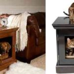 luxury-dog-house-townhaus