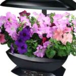 011_aerogarden_size_10