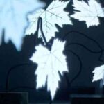 1273567589_Etree_jasper_4