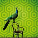 94688633847fb9bd162f0f