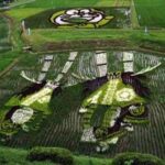 Doraemon and deer dancers (shishi-odori)