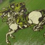 Decorando campos de arroz japos 3 Decorando campos de arroz Napoleon