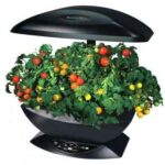 aerogarden