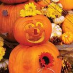 calabaza halloween simpática