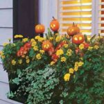 decoración con calabazas de halloween