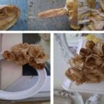 flores de filtros de café