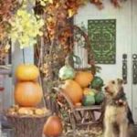 pila_calabazas_muebles_rústicos