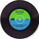 Reciclar para decorar un disco de vinilo