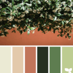 combinación de colores – verdes y rosados