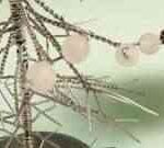 hogar-realiza-arbol-navideno-alambre-