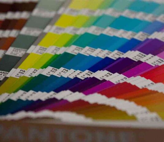 Pintura en categorías