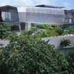 vegetacion-residencia