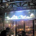 Aquarium_ASP