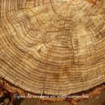 tipos-madera