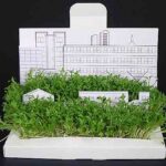 Jardines decorativos PostCarden