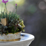 Jardín en una tazita de café