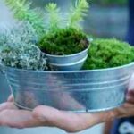 Mini jardín de weegarden