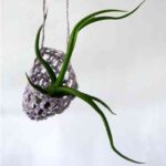 Un jardín en tu collar de Paula Hayes