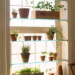 Jardín interior con mucha luz