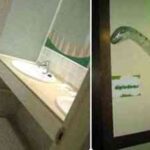 dinoworld-habitacion
