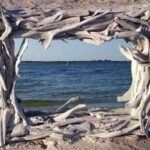 tropical_driftwood_mirror-647×461
