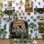 fachada  con macetas