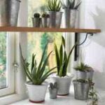 decoracion vegetal-1