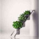decoracion vegetal-5