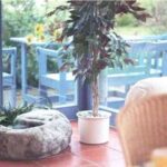 decoracion de estanques-9