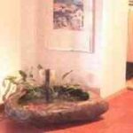 decoracion de estanques8