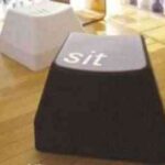 sit-informatia-decoracion