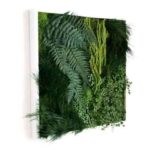 muro verde en la decoracion