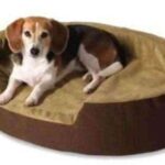 camas-para-perros-1