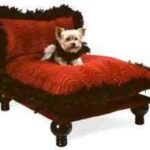 camas-para-perros-4-1