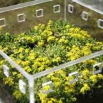 decoracion-acrilico-87-1