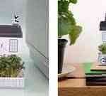 plantas en la decoracion