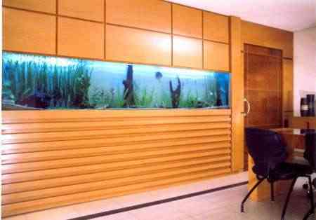 En el fondo del mar, nuestra decoración 1