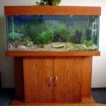 pesceras en la decoracion-10