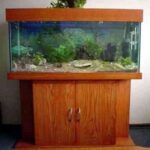 pesceras-en-la-decoracion-10-480×382-1