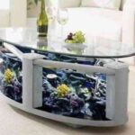 pesceras-en-la-decoracion-3-480×402-1