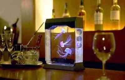 En el fondo del mar, nuestra decoración 2