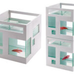 pesceras en la decoracion-5