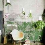 plantas_decoracion-1