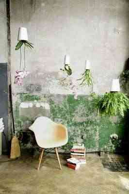 plantas_decoracion