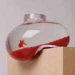acuario-serie-psalt.jpg