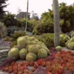 arx1209677013m-300×225-1